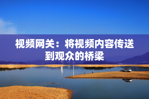 視頻網關：將視頻內容傳送到觀眾的橋梁