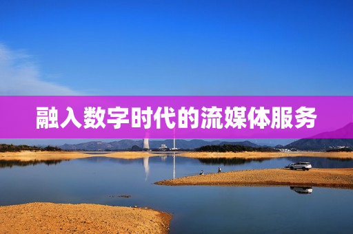 融入數字時代的流媒體服務