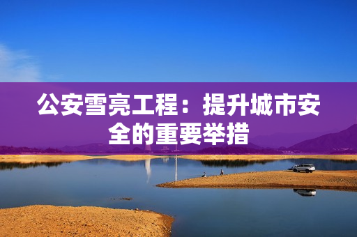 公安雪亮工程：提升城市安全的重要舉措