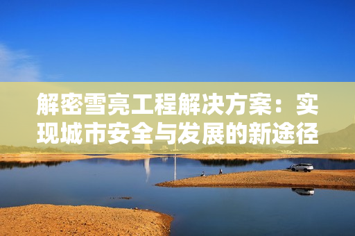 解密雪亮工程解決方案：實現城市安全與發(fā)展的新途徑