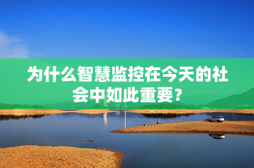 為什么智慧監(jiān)控在今天的社會(huì)中如此重要？