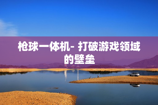 槍球一體機(jī)- 打破游戲領(lǐng)域的壁壘