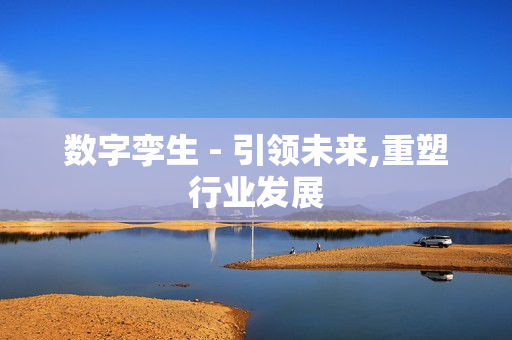 數(shù)字孿生 - 引領(lǐng)未來,重塑行業(yè)發(fā)展