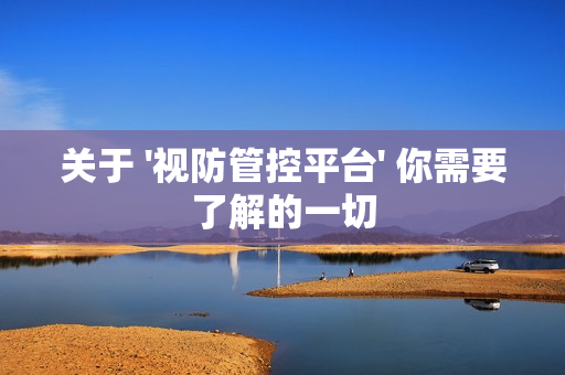 關于 '視防管控平臺' 你需要了解的一切
