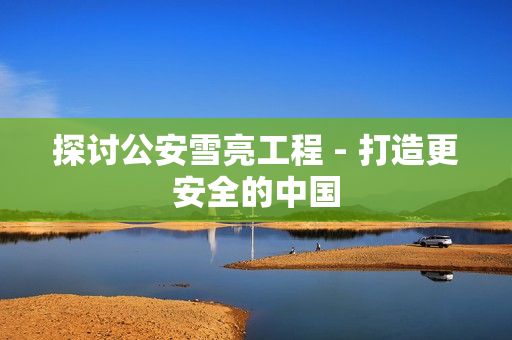 探討公安雪亮工程 - 打造更安全的中國