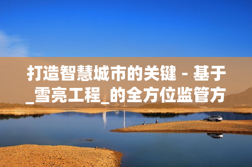 打造智慧城市的關(guān)鍵 - 基于_雪亮工程_的全方位監(jiān)管方案
