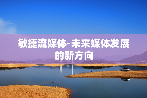 敏捷流媒體-未來媒體發展的新方向