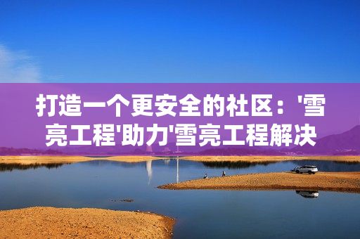 打造一個(gè)更安全的社區(qū)：'雪亮工程'助力'雪亮工程解決方案'
