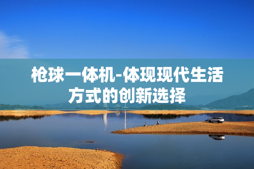 槍球一體機-體現現代生活方式的創新選擇