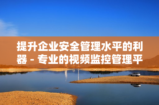 提升企業安全管理水平的利器 - 專業的視頻監控管理平臺