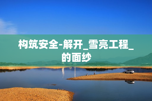 構(gòu)筑安全-解開(kāi)_雪亮工程_的面紗