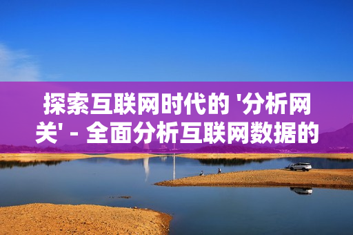 探索互聯網時代的 '分析網關' - 全面分析互聯網數據的關鍵