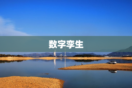 數字孿生