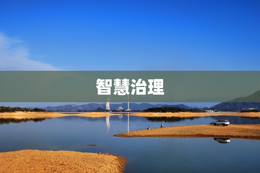 智慧治理