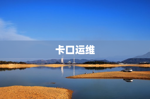 卡口運維
