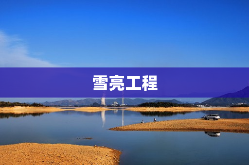 雪亮工程