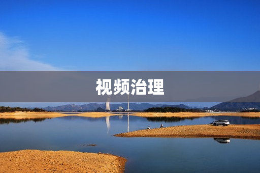 視頻治理