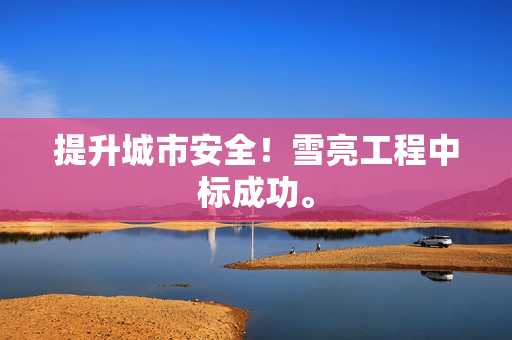 提升城市安全！雪亮工程中標成功。