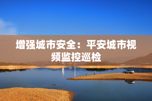 增強城市安全：平安城市視頻監控巡檢
