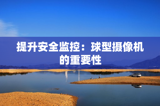 提升安全監控：球型攝像機的重要性