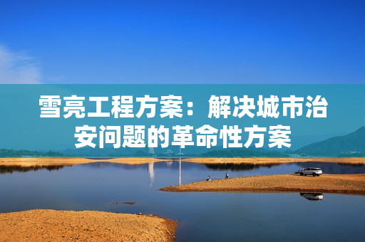 雪亮工程方案：解決城市治安問題的革命性方案