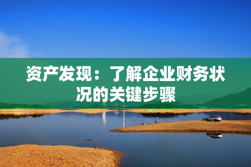 資產(chǎn)發(fā)現(xiàn)：了解企業(yè)財(cái)務(wù)狀況的關(guān)鍵步驟