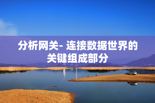 分析網關- 連接數據世界的關鍵組成部分